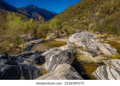 A tranquil stream flows through a rugged desert landscape, surrounded by lush greenery and towering mountains under a clear blue sky. A perfect depiction of nature's serenity and beauty. - Powered by Shutterstock