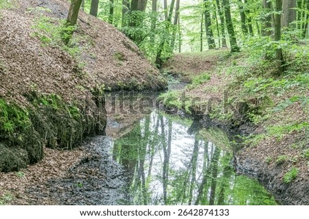 A tranquil stream meanders through a wooded area, reflecting soft lighting and filtering warm ambiance Lush trees of varying greens line the banks, with scattered leaves suggesting autumn The strea