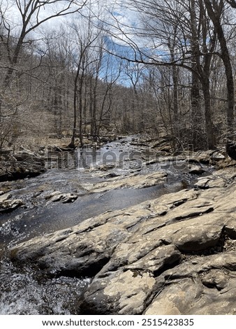 A tranquil stream winds through Shenandoah National Park, its clear water gently flowing over smooth stones. Surrounded by lush greenery, the peaceful scene captures the beauty of nature.