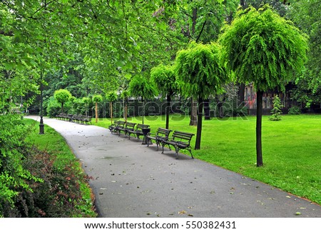 Tranquil Summer Park in Belgrade: Strolling Along the Serene Sidewalk
