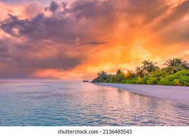 Tranquil summer vacation or holiday landscape. Tropical island sunset beach. Palm trees over calm sea water, sun rays, colorful sky. Exotic nature view, inspirational and peaceful seascape reflection