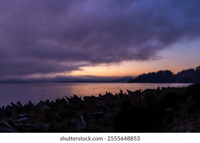 A tranquil sunrise over the serene waters of Victoria, Vancouver Island, BC, Canada. The sky is painted with soft hues, and driftwood lines the quiet shoreline. - Powered by Shutterstock