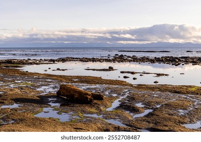 A tranquil sunset casts warm colors on the rocky shores of Port Renfrew. Calm waters reflect the evening light, creating a serene and picturesque West Coast landscape scene on Vancouver Island, BC. - Powered by Shutterstock