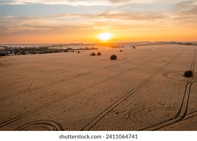 A tranquil sunset casts a warm glow over a sprawling wheat field dotted with tire tracks, highlighting the peaceful countryside scenery. - Powered by Shutterstock