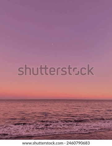 Similar – Image, Stock Photo moonlight sonata