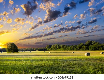 Tranquil Texas Meadow At Sunrise With Hay Bales Strewn Across The Landscape