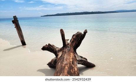 A tranquil tropical beach scene with a large piece of driftwood resting on soft white sand and clear turquoise water in the background. - Powered by Shutterstock