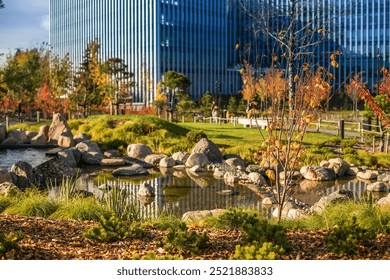 A tranquil urban park with a small pond surrounded by rocks and greenery, featuring trees with autumnal colors in the foreground and a tall building with reflective glass windows in the background - Powered by Shutterstock