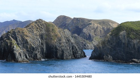 A Tranquil View In Cook Strait, New Zealand