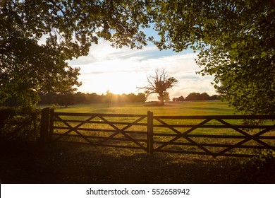 Tranquil View Of Country Farm Gate And Trees In English Or British Countryside Field At Sunset Or Sunrise