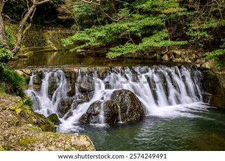 A tranquil waterfall flows over mossy rocks in a serene forest in Minoh National Park, Osaka, Japan. The scene evokes traditional Japanese landscape aesthetics.
