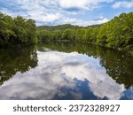 The tranquil waters of the South Fork of the Shenandoah River in Virginia, USA, mirror the surrounding trees, sky, and clouds.