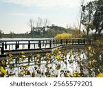 Tranquil Waterscape: A Scenic View of a Lake with Walkway and Reeds  