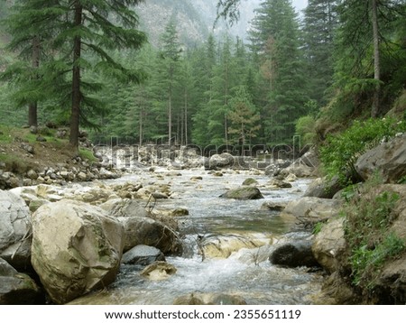 Tranquil Wilderness: Flowing Water in Green Forest.Serene creek, lush forest, flowing water, tranquil scene, untouched valley. Refreshing nature.