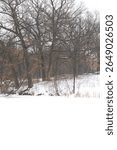 A tranquil winter landscape depicting the shadows of trees against a snowy lakeshore, capturing the serene beauty of nature in a calm and peaceful setting.