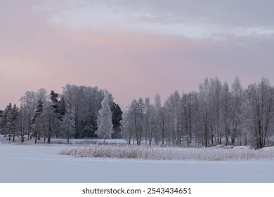 A tranquil winter morning reveals a landscape of frosted trees and a frozen lake, with serene pastel colors in the sky as dawn breaks. - Powered by Shutterstock