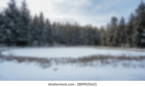A tranquil winter scene featuring a dense evergreen forest bordering a frozen pond, reflecting the overcast sky and surrounding trees.