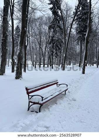 A tranquil winter scene featuring a snow-covered bench in a serene park setting. Perfect for capturing the peaceful beauty of a snowy landscape.