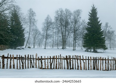 A tranquil winter scene featuring a wooden fence, snow-blanketed ground, and bare trees in a misty Scandinavian forest at dawn. - Powered by Shutterstock