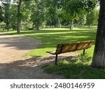 Tranquil wooden bench along the path of a city park.  Grove of mature deciduous trees with green lawn make it a magical place to rest.