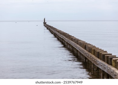 Tranquil Wooden Jetty Extending into Calm Sea with Bird Perched at Horizon on Cloudy Day - Powered by Shutterstock