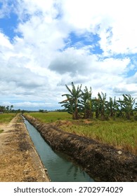 The Tranquility of The Green Rice Fields With This Irrigation Channel is The Lifeblood of The Countryside.