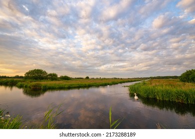 Tranquilizing scene of soft clouds over calm water in the Dutch polder landscape in the golden hour before sunset