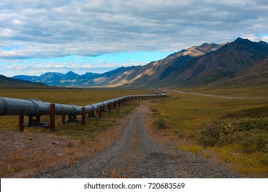 Trans-alaskan Oil Pipeline At The North Slope Of Alaska. 