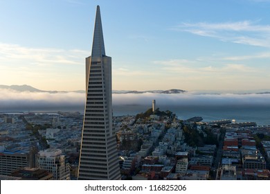 The Transamerica Pyramid in San Francisco early evening