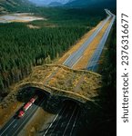 The Trans-Canada Highway wildlife crossings in Banff National Park