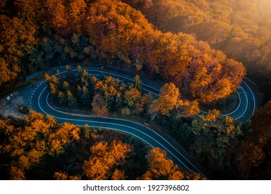 Transfagarasan serpentine going through autumn forest