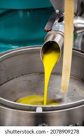 transformation of olives into oil in an oil mill in greece