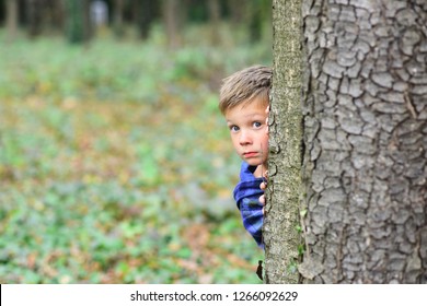 5,036 Kid Hiding Tree Images, Stock Photos & Vectors | Shutterstock