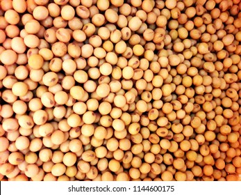 Transgenic Soybeans In Brazil