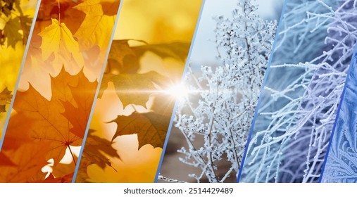 Transition from golden sunny autumn to snowy cold winter, changing seasons and passage of time. Vivid autumn leaves give way to frost-covered branches, illustrating cyclical beauty of nature - Powered by Shutterstock