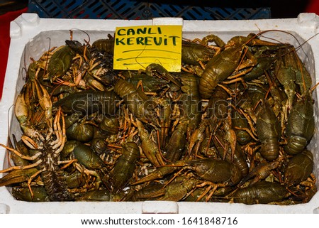 Translation for 'kanli kerevit' meaning  'bloody crayfish' Stok fotoğraf © 