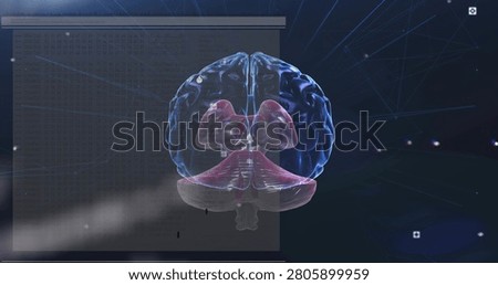 Translucent 3D brain rotating tilting after HUD panel sliding in, revealing cerebellum for research. Neural, cortex, cranial, anatomy, presentation, transparent, futuristic