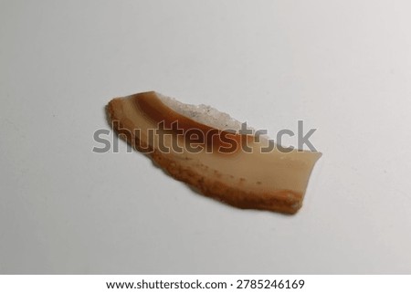 Translucent Banded Agate Stone Flake on White Background.

Macro of Prehistoric Style Lithic Flake Made from Carnelian Agate.

Polished Slice of Banded Chalcedony Mineral Specimen.

A high-detail macro shot of a thin, translucent flake of banded agate or carnelian. The specimen features distinct orange and brown horizontal bands transitioning into a milky white crystalline edge. Its sharp, tapered shape resembles a prehistoric stone tool or lithic debitage, presented clearly against a neutral white surface.
