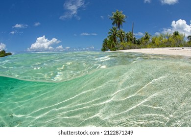 translucent lagoon of rangiroa - tuamotu - french polynesia 