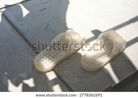 Translucent Sandals in Soft Summer Sunlight