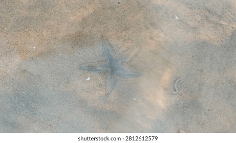 A translucent view of a starfish submerged in clear, shallow water over a sandy ocean floor during low tide.