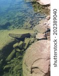 Translucent Waters