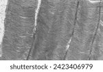 Transmission electron micrograph (TEM) showing the photoreceptor outer segments of retinal rod cells, full of stacked membranous discs filled with opsin, the molecule that absorbs photons.