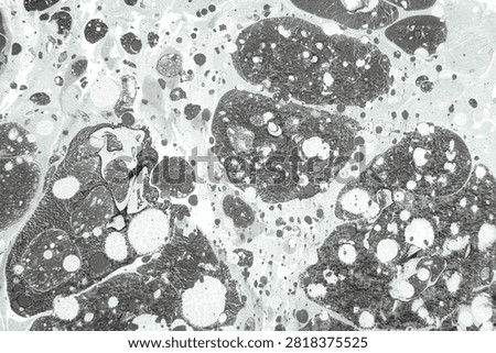 Transmission Electron Microscopy Micrograph of Cellular Ultrastructure Showing Organelles and Membrane Structures for Medical Science and Research.
