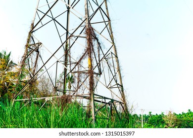 Transmission Line Electricity Rural Field Electricity Stock Photo ...