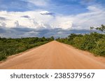 Transpantaneira Road leading to to cloudy horizon and framed by natural vegetation, Brazil