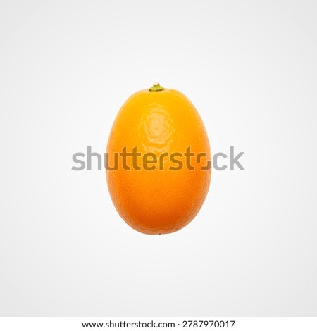 Transparent 3d rendering of a bright orange rubber ball with shine