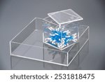 transparent acrylic box with lid containing flexible rods with blue and white cotton tips (swabs).  tray also made of transparent acrylic, organization and storage of personal hygiene items