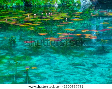 A transparent and beautiful simone pond that swims like a monkey pond similar to Japan's pond, a pond that looks exactly like Monet's paintings in Seiki, Gifu Prefecture, Japan's pretty beautiful plac