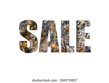 Transparent Boiling Water Texture. Shot Through The Cut-out Silhouette Of The Word SALE